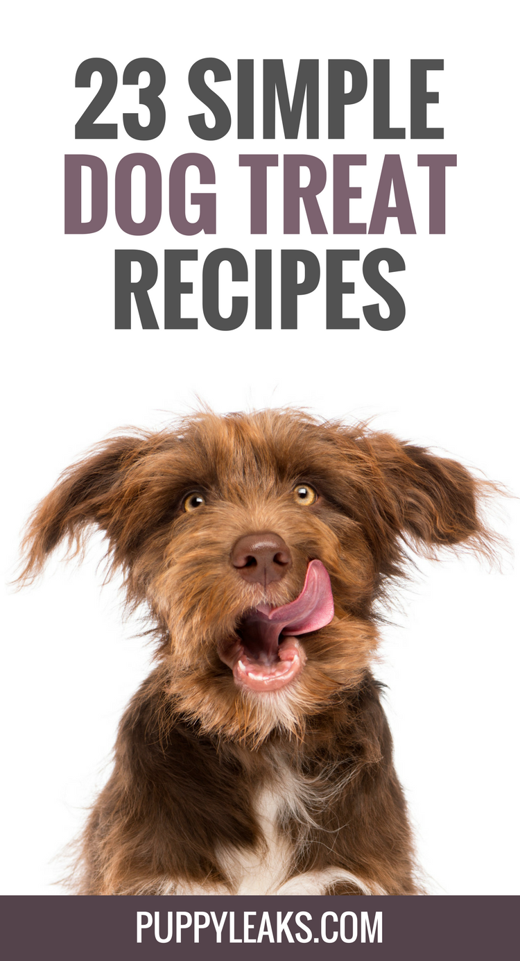 23 Simple Dog Treat Recipes
