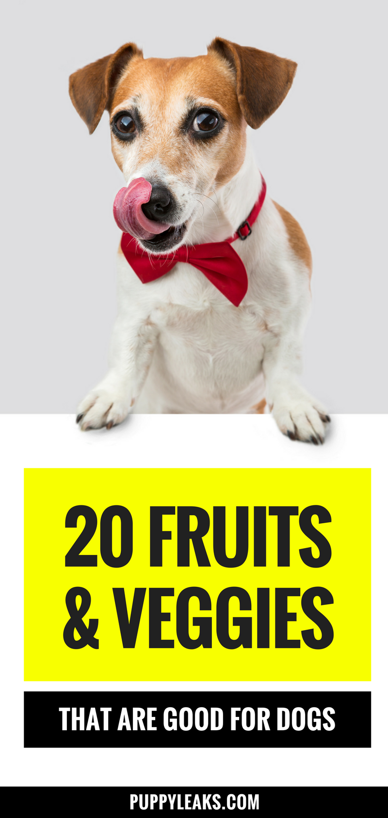 20 fruits & veggies that are good for your dog. Fruits & veggies that are safe for your dog and make healthy treats.