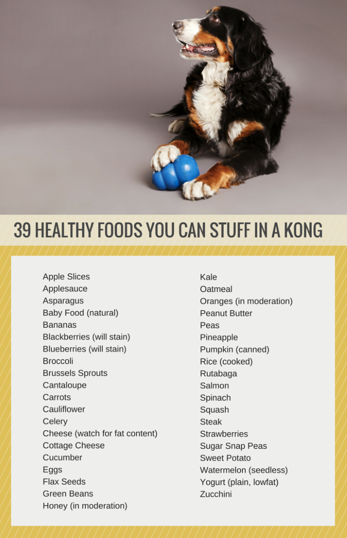 39 Healthy Treats You Can Stuff in a Kong Puppy Leaks