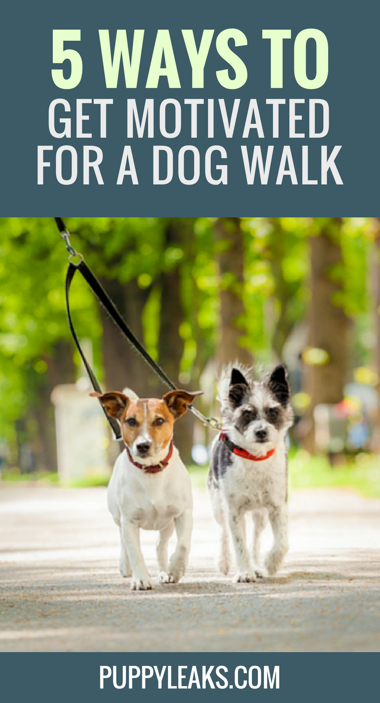 How to Motivate Yourself to Walk the Dog