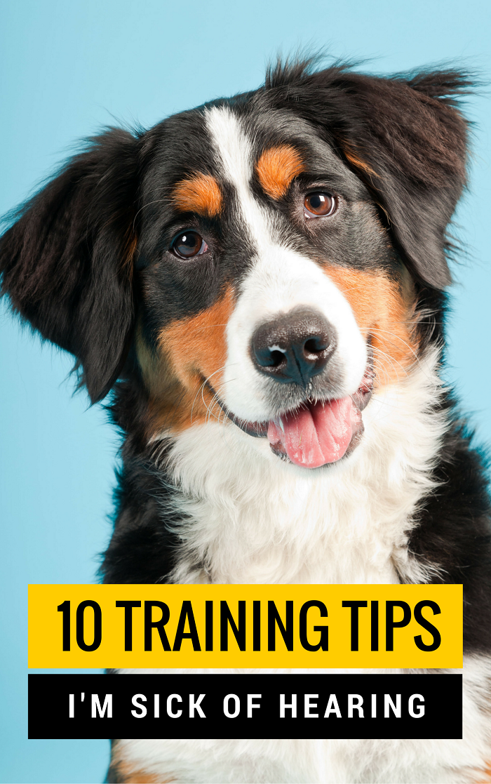 10 Training Tips and Myths I'm Tired of Hearing