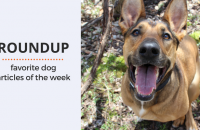 Roundup 75: Favorite Dog Articles & Videos of the Week
