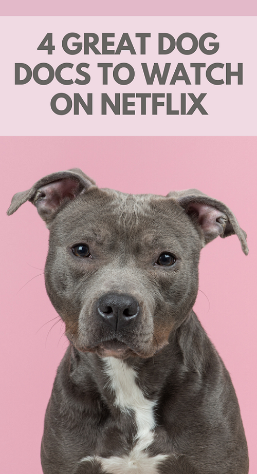 Great Dog Documentaries on Netflix