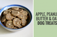 Quick & Easy Apple, Peanut Butter & Oat Dog Treats