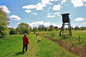 Dogs Motivate Owners to Exercise