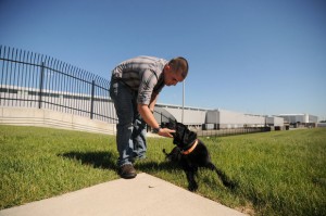 Marine reunited with military dog
