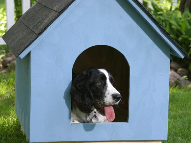 free dog house plans