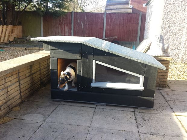 14 Free DIY Dog House Plans Anyone Can Build