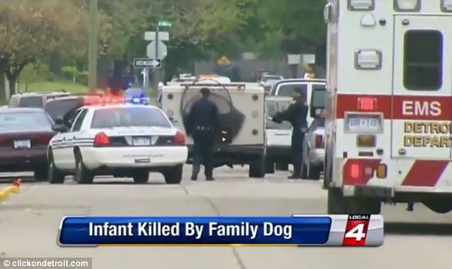 Dog Kills Infant in Michigan