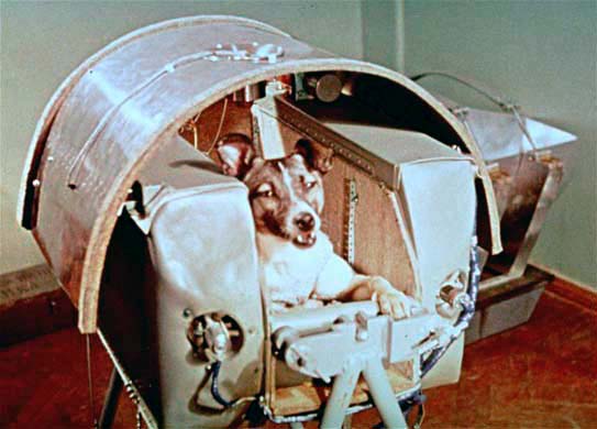 Laika The Dog Was the First Mammal to Orbit Earth in 1957