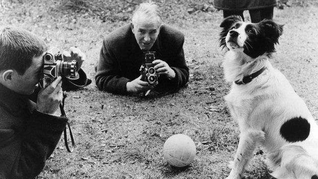 The Dog Who Saved the World Cup