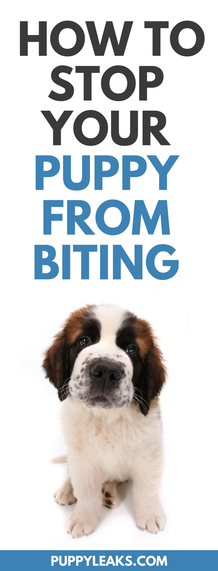 3 Simple Ways To Stop Your Puppy From Biting Puppy Leaks