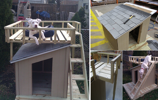 Free Roof Top Dog House Plans