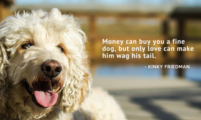 dog quotes love