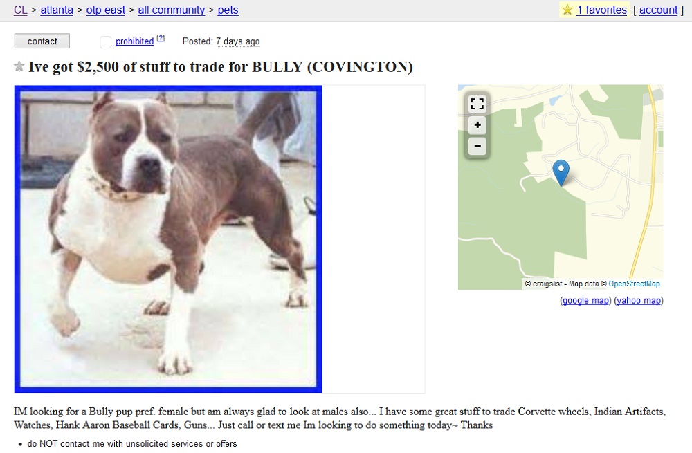 american bully craigslist