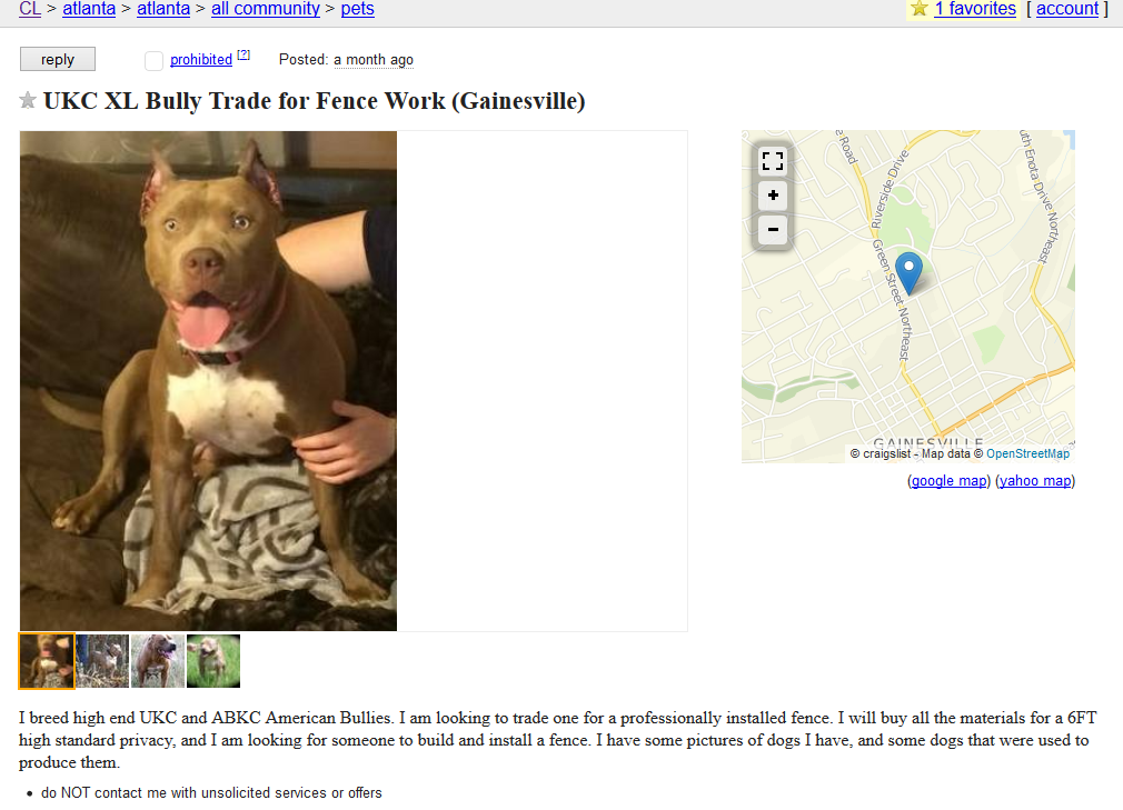 Craigslist Dog Ads: Buyer Beware - Puppy Leaks