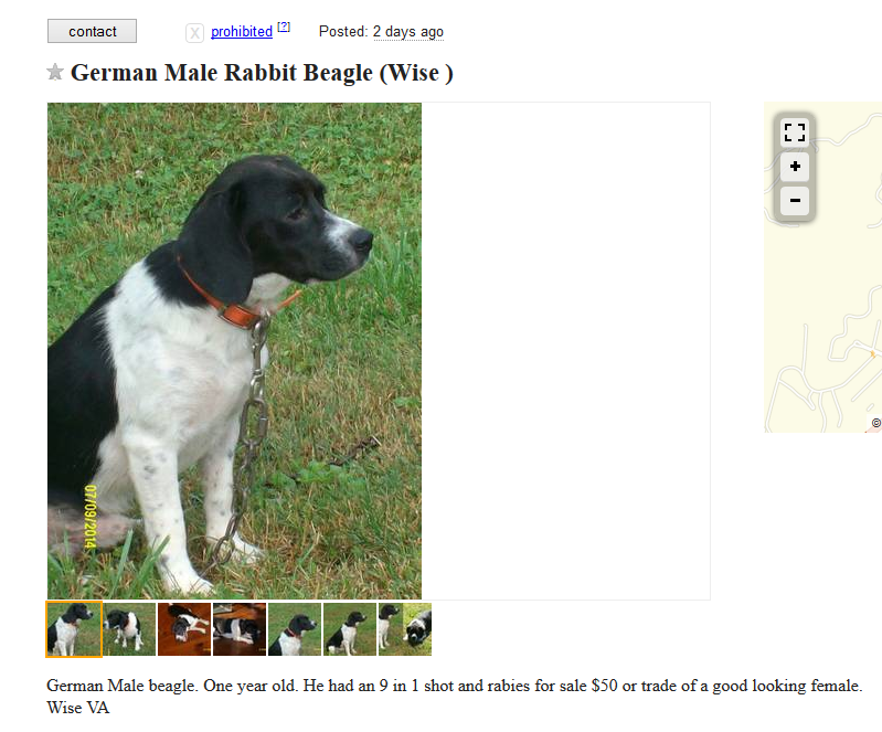 Craigslist Dogs 2 - More Dogs For Trade - Puppy Leaks