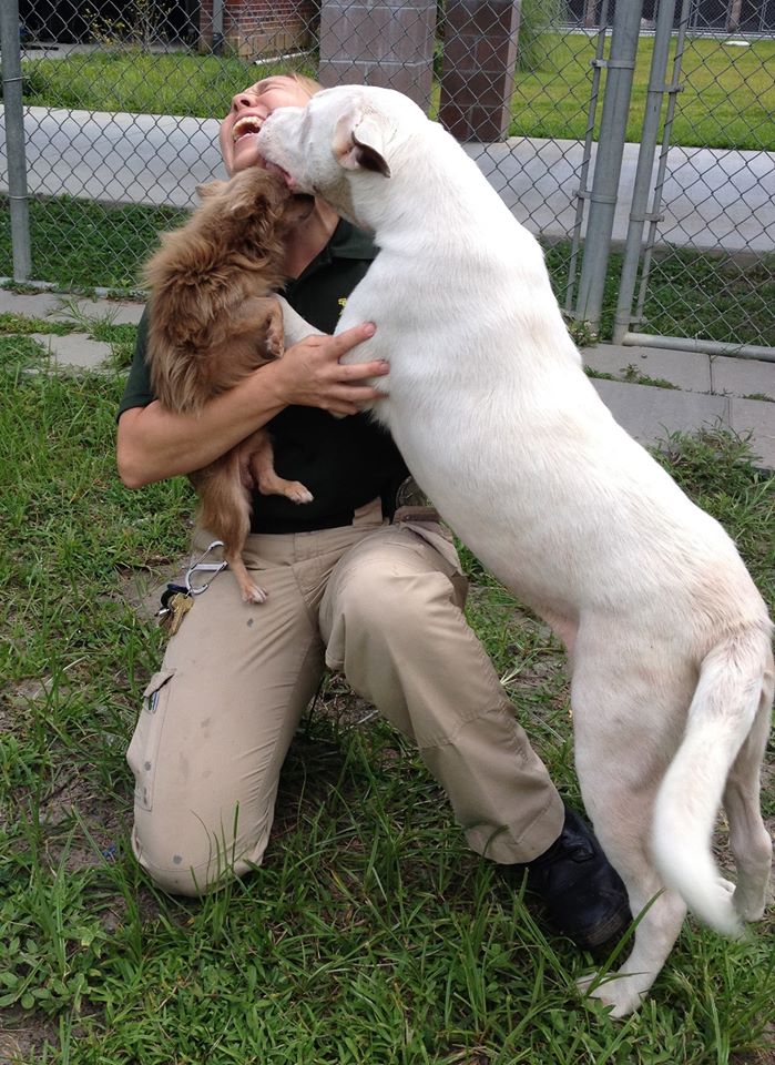 dog friends