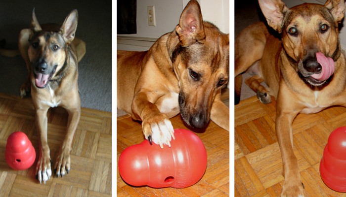 Kong Wobbler;Treat Dispenser Dog Toy in Red, Size: Large | PetSmart