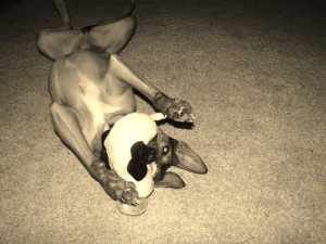 sepia2