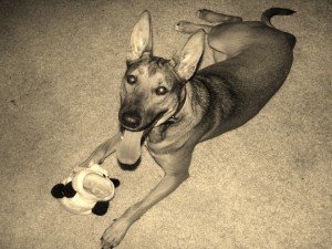 sepia3