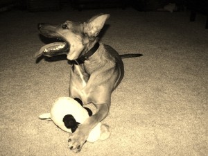 sepia4