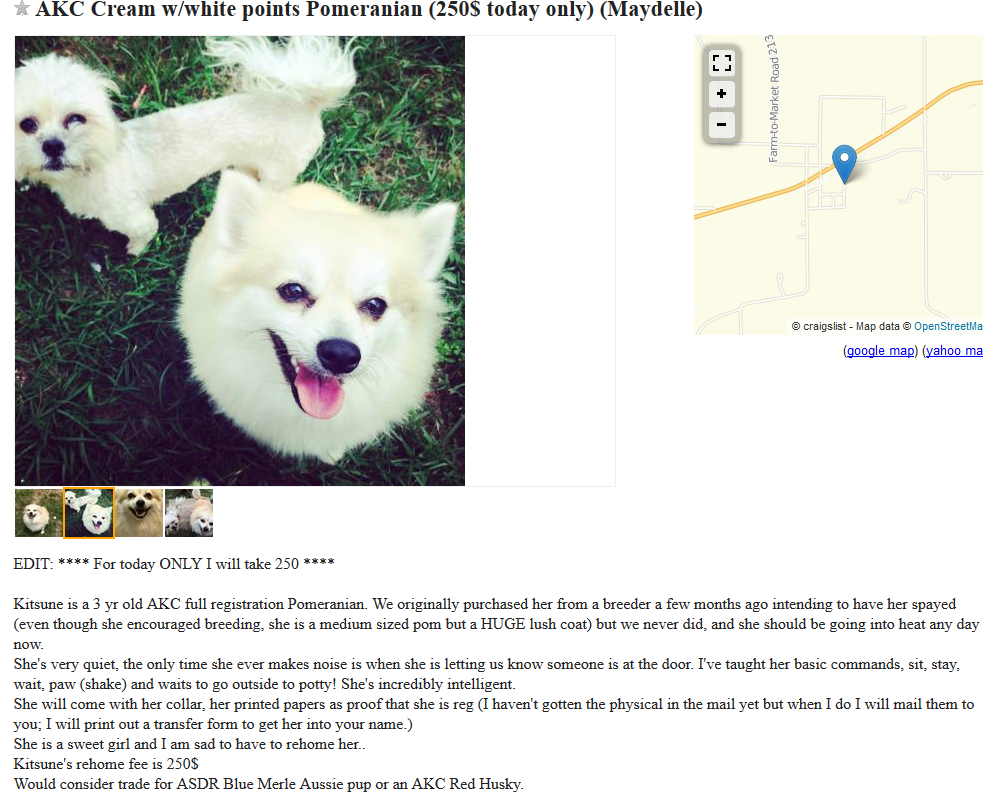 craigslist dog trade