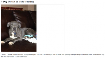 Craigslist Dogs For Trade - Puppy Leaks