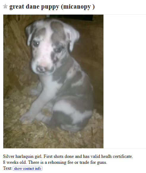 Craigslist Dogs For Trade - Puppy Leaks