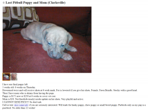 Craigslist Dogs For Trade - Puppy Leaks