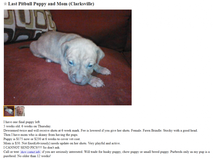 Craigslist Dogs For Trade Puppy Leaks