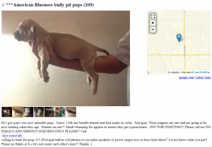 Craigslist Dogs For Trade - Puppy Leaks