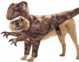choose a dog costume