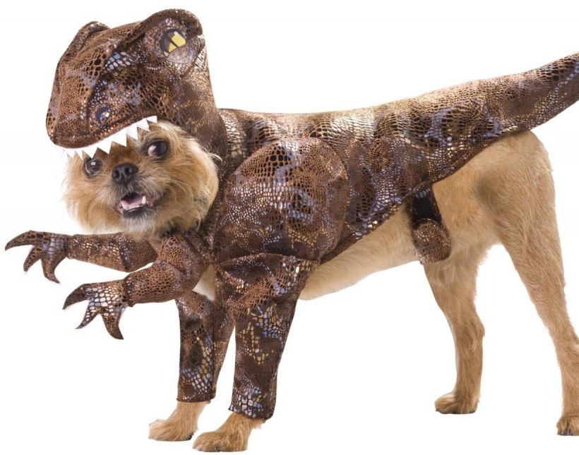 choose a dog costume