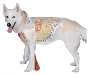 elvis dog costume