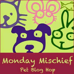 monday blog hop