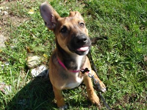 stick out your tongue