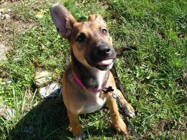 stick out your tongue