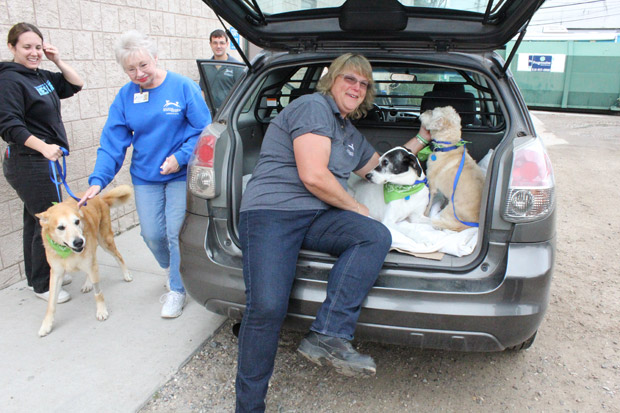 trio gets adopted