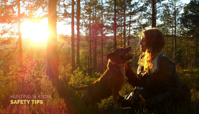 hunting season safety tips for your pet