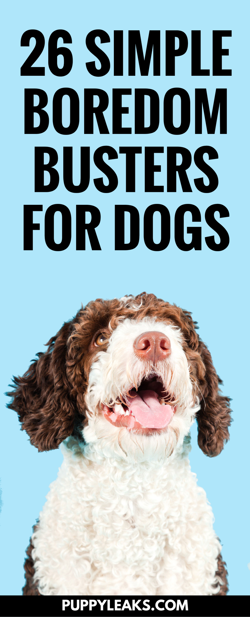Is your dog bored? Need some simple ways to keep your dog busy and entertained? Check out our list of 26 quick and simple ways to relieve dog boredom. These boredom busters will provide your dog with plenty of mental stimulation and exercise. #dogs #dogtips #dogcare #dog #lifehacks #doglovers #dogadvice