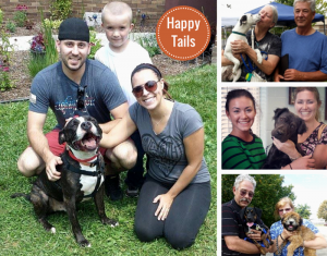 shelter adoption smiles happy tails