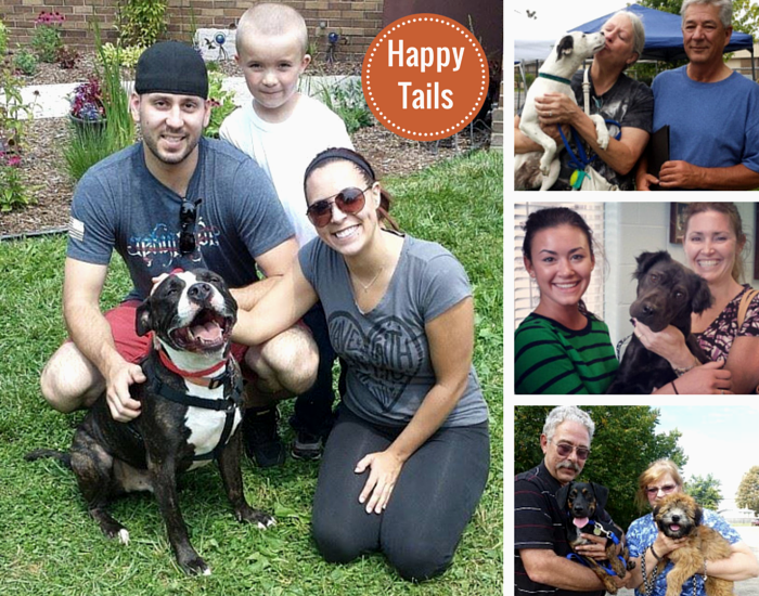 shelter adoption smiles happy tails