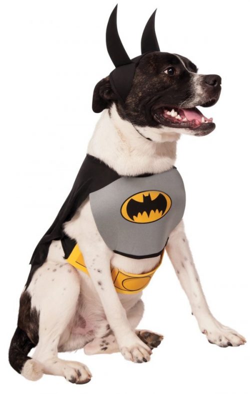 30 Fun Halloween Dog Costumes