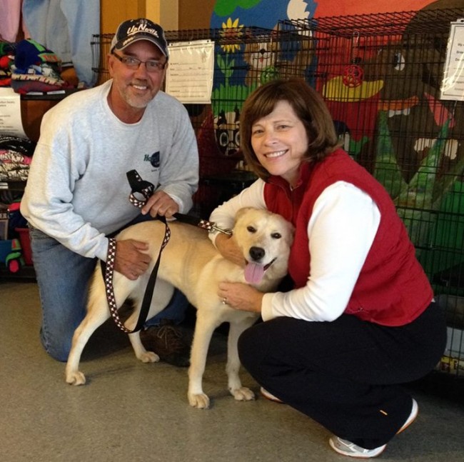 shelter dogs smiling