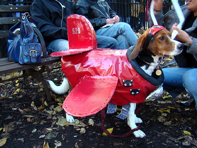 best dog halloween costumes