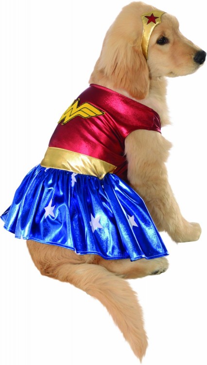 best dog halloween costumes