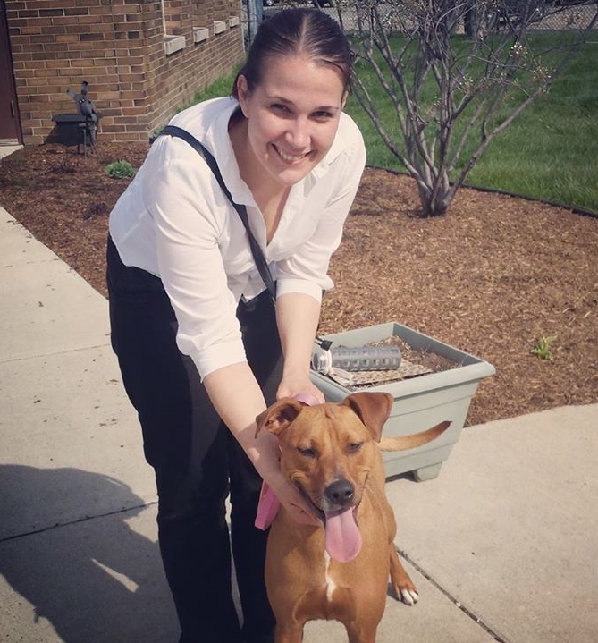 shelter dogs smiling adoption