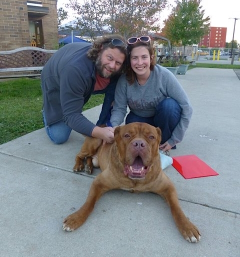 shelter dogs smiling adoption