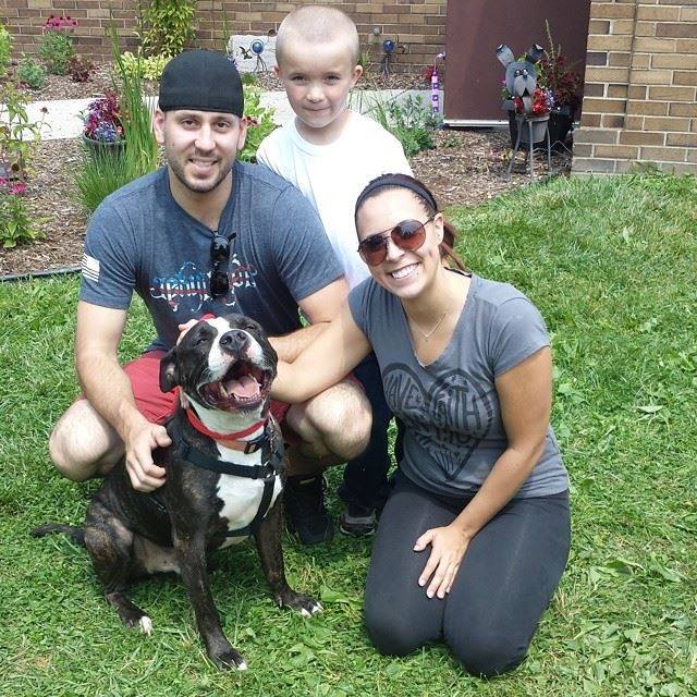 shelter dogs smiling adoption